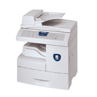 Xerox Network Printing Option  P-PRO 100S Print Server